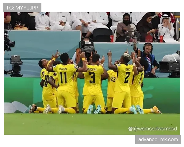 厄瓜多尔队2026世界杯阵容预测 高原雄鹰能否再现黑马本色
